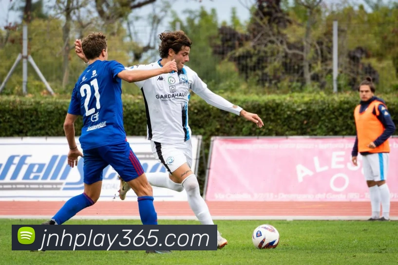 金年会发展历程